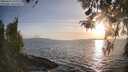 ./images/koeye/fitz-hugh/20260416/fitz-hugh20260416_192002M.jpg