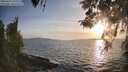 ./images/koeye/fitz-hugh/20260416/fitz-hugh20260416_192502M.jpg