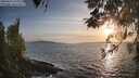 ./images/koeye/fitz-hugh/20260416/fitz-hugh20260416_193002M.jpg