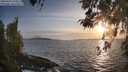 ./images/koeye/fitz-hugh/20260416/fitz-hugh20260416_193501M.jpg