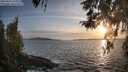 ./images/koeye/fitz-hugh/20260416/fitz-hugh20260416_194002M.jpg