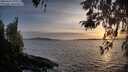 ./images/koeye/fitz-hugh/20260416/fitz-hugh20260416_195501M.jpg