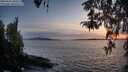 ./images/koeye/fitz-hugh/20260416/fitz-hugh20260416_203502M.jpg