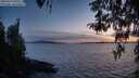 ./images/koeye/fitz-hugh/20260416/fitz-hugh20260416_205502M.jpg