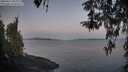 ./images/koeye/fitz-hugh/20260417/fitz-hugh20260417_063002M.jpg