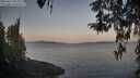 ./images/koeye/fitz-hugh/20260417/fitz-hugh20260417_065002M.jpg