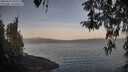 ./images/koeye/fitz-hugh/20260417/fitz-hugh20260417_071501M.jpg