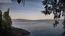 ./images/koeye/fitz-hugh/20260417/fitz-hugh20260417_074001M.jpg