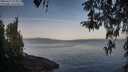 ./images/koeye/fitz-hugh/20260417/fitz-hugh20260417_075001M.jpg