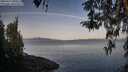 ./images/koeye/fitz-hugh/20260417/fitz-hugh20260417_080501M.jpg
