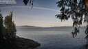 ./images/koeye/fitz-hugh/20260417/fitz-hugh20260417_081001M.jpg