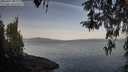 ./images/koeye/fitz-hugh/20260417/fitz-hugh20260417_082001M.jpg