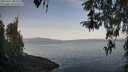 ./images/koeye/fitz-hugh/20260417/fitz-hugh20260417_082501M.jpg