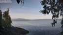 ./images/koeye/fitz-hugh/20260417/fitz-hugh20260417_083001M.jpg
