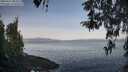 ./images/koeye/fitz-hugh/20260417/fitz-hugh20260417_083502M.jpg
