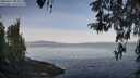 ./images/koeye/fitz-hugh/20260417/fitz-hugh20260417_084501M.jpg
