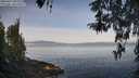 ./images/koeye/fitz-hugh/20260417/fitz-hugh20260417_085502M.jpg