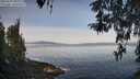 ./images/koeye/fitz-hugh/20260417/fitz-hugh20260417_090001M.jpg