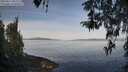 ./images/koeye/fitz-hugh/20260417/fitz-hugh20260417_091502M.jpg