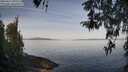 ./images/koeye/fitz-hugh/20260417/fitz-hugh20260417_092501M.jpg