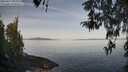 ./images/koeye/fitz-hugh/20260417/fitz-hugh20260417_093501M.jpg