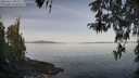 ./images/koeye/fitz-hugh/20260417/fitz-hugh20260417_094001M.jpg