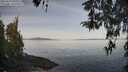 ./images/koeye/fitz-hugh/20260417/fitz-hugh20260417_094501M.jpg