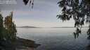 ./images/koeye/fitz-hugh/20260417/fitz-hugh20260417_095001M.jpg