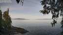 ./images/koeye/fitz-hugh/20260417/fitz-hugh20260417_095501M.jpg