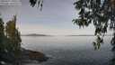 ./images/koeye/fitz-hugh/20260417/fitz-hugh20260417_100501M.jpg