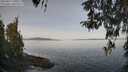 ./images/koeye/fitz-hugh/20260417/fitz-hugh20260417_101001M.jpg