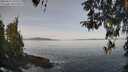 ./images/koeye/fitz-hugh/20260417/fitz-hugh20260417_101501M.jpg