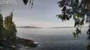 ./images/koeye/fitz-hugh/20260417/fitz-hugh20260417_102002M.jpg