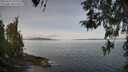 ./images/koeye/fitz-hugh/20260417/fitz-hugh20260417_103501M.jpg