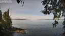 ./images/koeye/fitz-hugh/20260417/fitz-hugh20260417_105001M.jpg