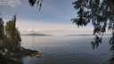 ./images/koeye/fitz-hugh/20260417/fitz-hugh20260417_114001M.jpg