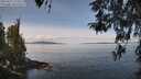 ./images/koeye/fitz-hugh/20260417/fitz-hugh20260417_114501M.jpg