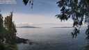 ./images/koeye/fitz-hugh/20260417/fitz-hugh20260417_120501M.jpg