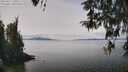 ./images/koeye/fitz-hugh/20260417/fitz-hugh20260417_130501M.jpg