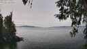 ./images/koeye/fitz-hugh/20260417/fitz-hugh20260417_135501M.jpg