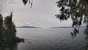 ./images/koeye/fitz-hugh/20260417/fitz-hugh20260417_144501M.jpg