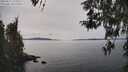 ./images/koeye/fitz-hugh/20260417/fitz-hugh20260417_153502M.jpg