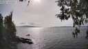 ./images/koeye/fitz-hugh/20260417/fitz-hugh20260417_162501M.jpg