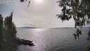 ./images/koeye/fitz-hugh/20260417/fitz-hugh20260417_163001M.jpg