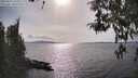./images/koeye/fitz-hugh/20260417/fitz-hugh20260417_164001M.jpg
