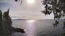 ./images/koeye/fitz-hugh/20260417/fitz-hugh20260417_165001M.jpg