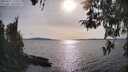 ./images/koeye/fitz-hugh/20260417/fitz-hugh20260417_172501M.jpg