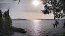 ./images/koeye/fitz-hugh/20260417/fitz-hugh20260417_173001M.jpg
