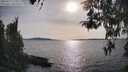 ./images/koeye/fitz-hugh/20260417/fitz-hugh20260417_173501M.jpg