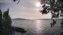 ./images/koeye/fitz-hugh/20260417/fitz-hugh20260417_175501M.jpg